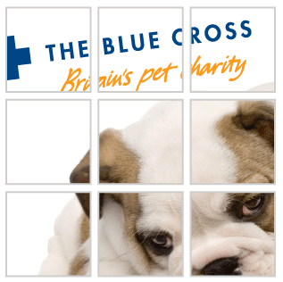 The Blue Cross